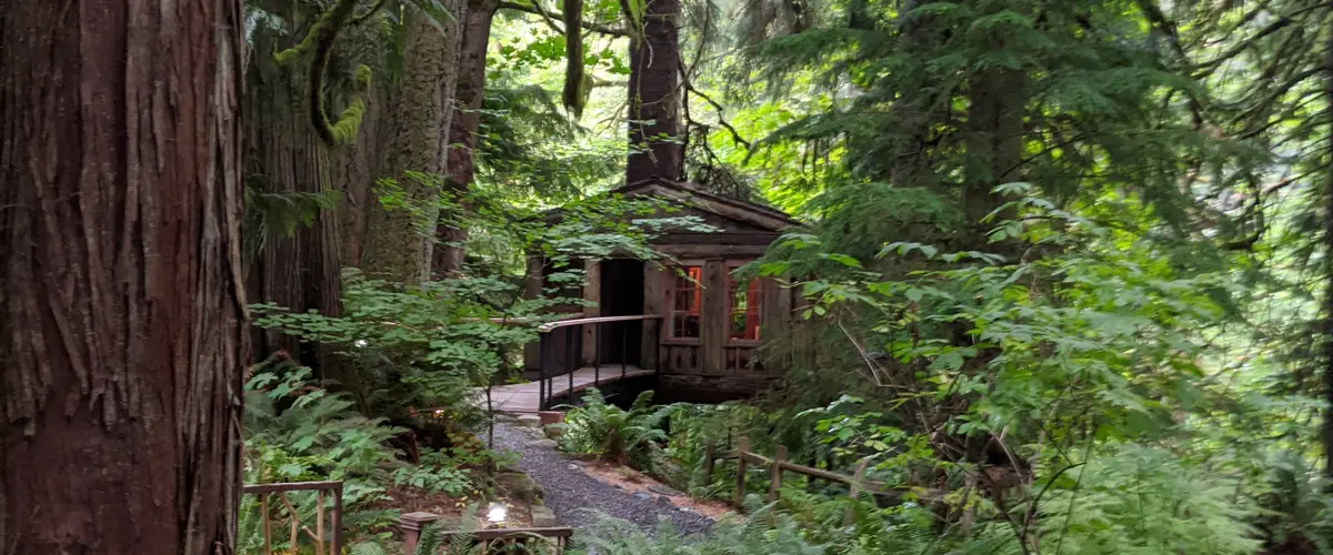 Treehouse in the woods at Treehouse Point