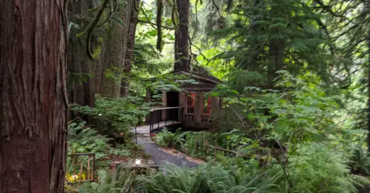 Treehouse in the woods at Treehouse Point