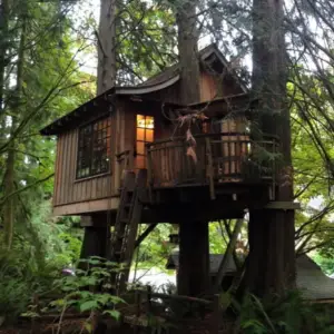Treehouse in the woods at Treehouse Point