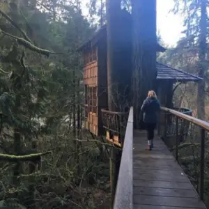 Treehouse in the woods at Treehouse Point