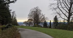 Simple walkway into a beautiful garden